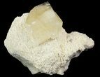 Gemmy, Twinned Calcite Crystals on Barite - Elmwood #66310-1